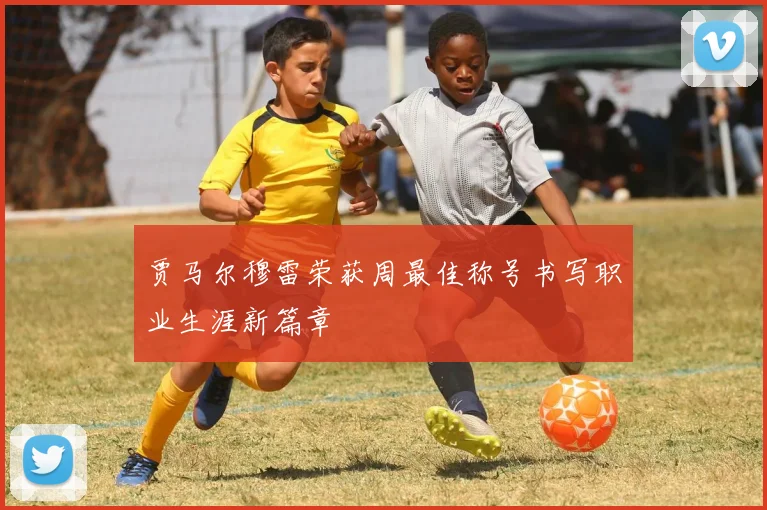 贾马尔穆雷荣获周最佳称号书写职业生涯新篇章