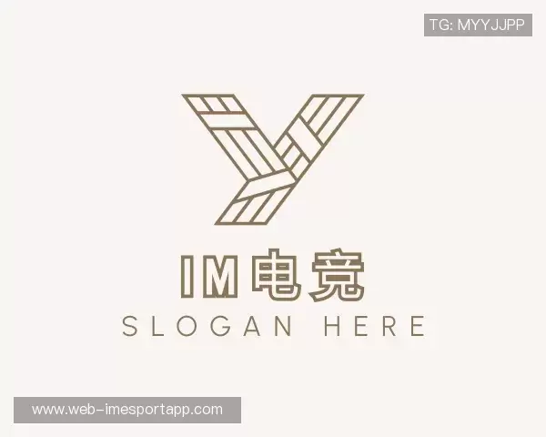 介绍IM电竞官网